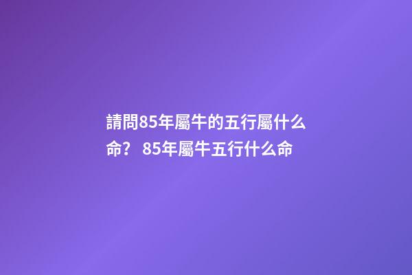 請問85年屬牛的五行屬什么命？ 85年屬牛五行什么命-第1張-觀點-玄機派